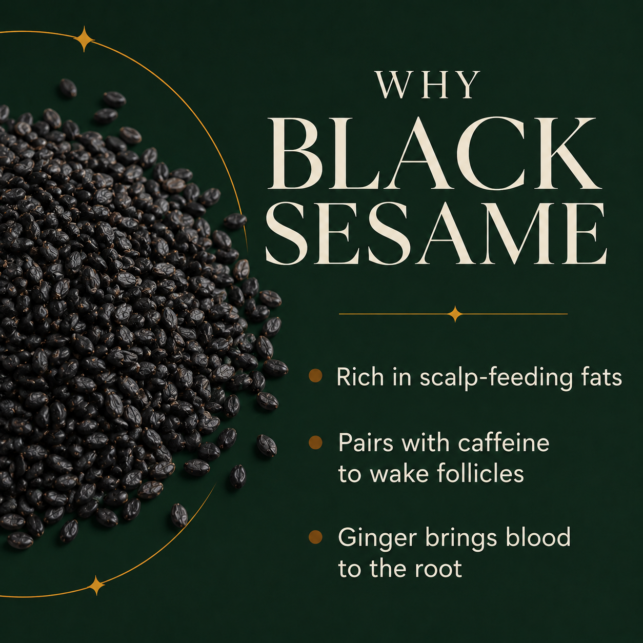 Why black sesame: rich in scalp-feeding fats, pairs with caffeine to wake follicles, ginger brings blood to the root.